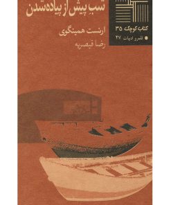 کتاب شب پیش از پیاده شدن | انتشارات نیلا