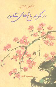 کتاب در کوچه باغهای نیشابور | انتشارات سخن