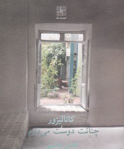 کتاب کاتالیزور و چنانت دوست می دارم... | انتشارات نیلا