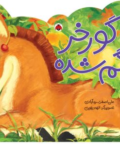 کتاب گورخر گم شده | انتشارات شهر قلم