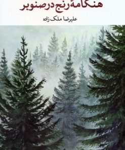 کتاب هنگامه رنج در صنوبر | انتشارات نگاه