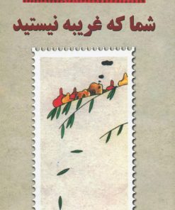 کتاب شما که غریبه نیستید | انتشارات معین