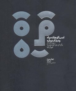 کتاب اسب کوچک سیاه و دیدار دوباره | انتشارات دیبایه