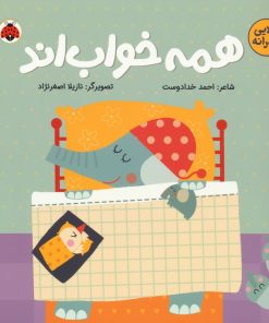 کتاب همه خواب اند | انتشارات شهر قلم