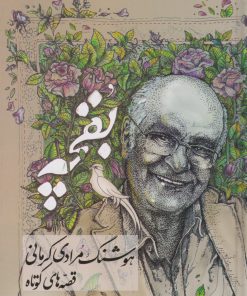 کتاب بقچه: قصه های کوتاه و بلند (2 جلدی) | انتشارات معین