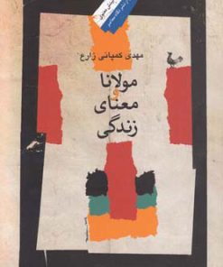 کتاب مولانا و معنای زندگی | انتشارات نگاه معاصر