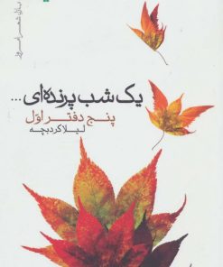 کتاب یک شب پرنده ای... | انتشارات نیماژ