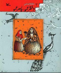 کتاب دخترعمو، پسرعمو | انتشارات کانون پرورش فکری کودکان و نوجوانان