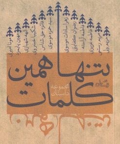 کتاب تنها همین کلمات | انتشارات نیستان