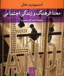 کتاب معنا، فرهنگ و زندگی اجتماعی | انتشارات نشر نی