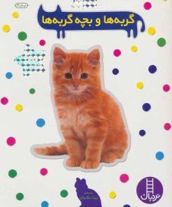 کتاب گربه ها و بچه گربه ها | انتشارات فنی ایران نردبان