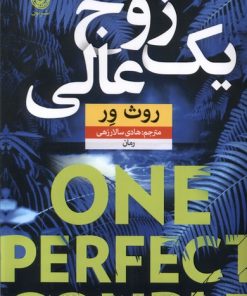کتاب یک زوج عالی | انتشارات نشر نون