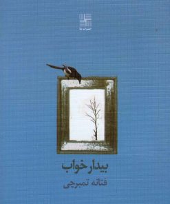 کتاب بیدار خواب | انتشارات نیلا