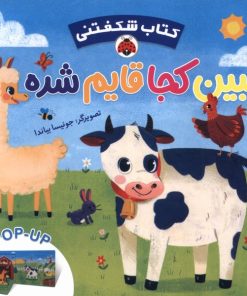 کتاب ببین کجا قایم شده | انتشارات شهر قلم