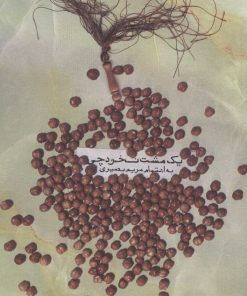 کتاب یک مشت نخودچی | انتشارات سروش