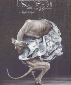 کتاب ملاقات با آکرونی ها | انتشارات نیماژ