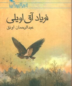 کتاب فریاد آق اویلی | انتشارات کانون پرورش فکری کودکان و نوجوانان