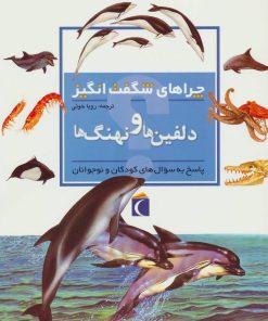 کتاب دلفین ها و نهنگ ها | انتشارات محراب قلم