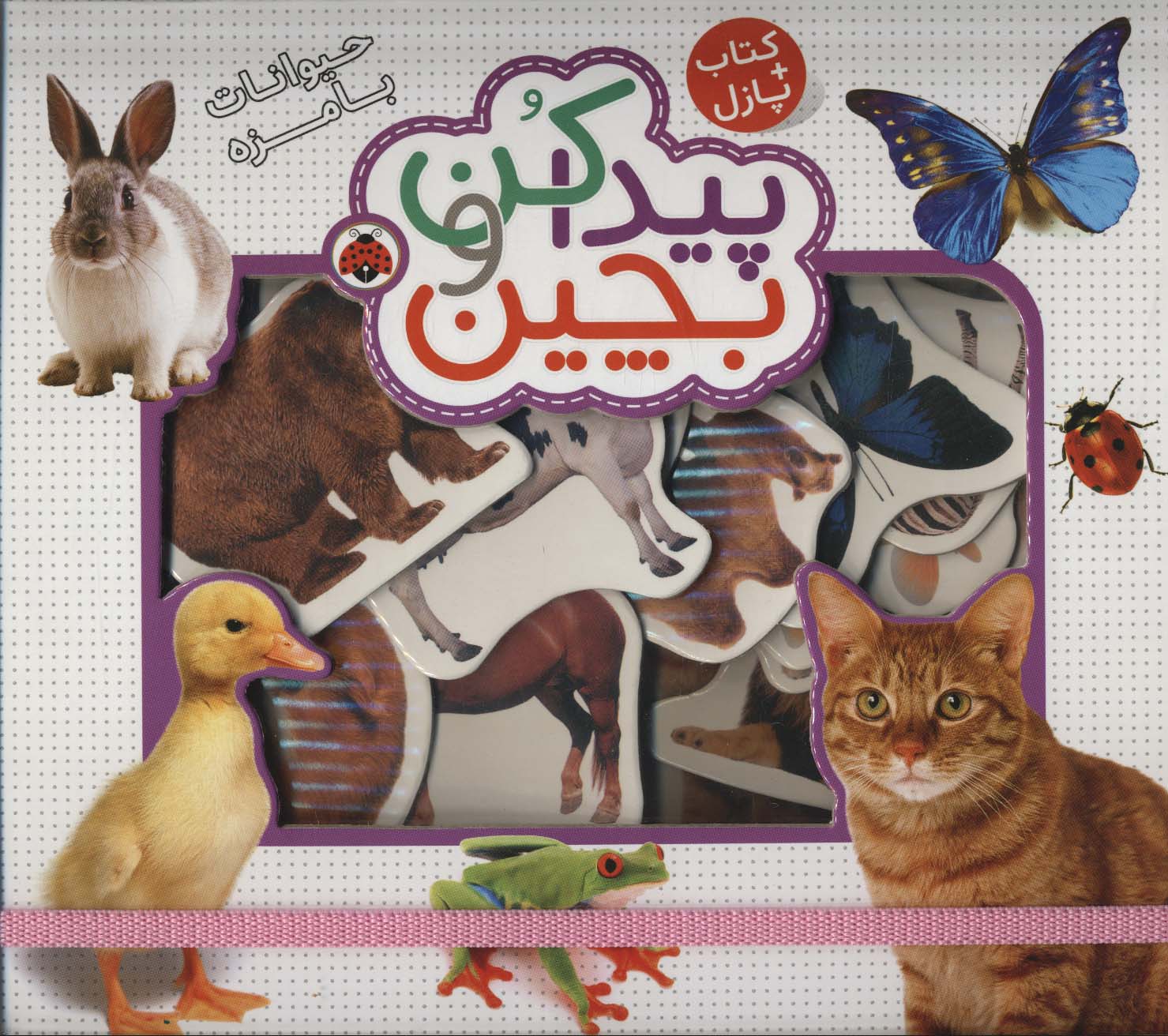 کتاب پیدا کن و بچین : حیوانات بامزه | انتشارات شهر قلم