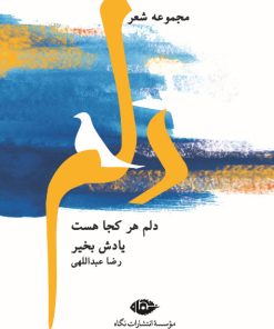 کتاب دلم هر کجا هست یادش بخیر | انتشارات نگاه