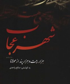 کتاب شهر عجاب | انتشارات نشر گویا