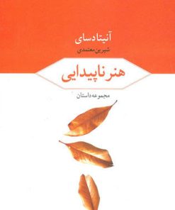 کتاب هنر ناپیدایی | انتشارات مروارید