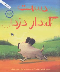 کتاب دست نگه دار دزد! | انتشارات فاطمی