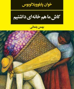 کتاب کاش ما هم خانه ای داشتیم | انتشارات نگاه