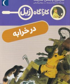 کتاب در خرابه | انتشارات محراب قلم