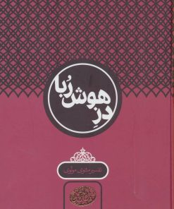 کتاب دز هوش ربا | انتشارات سخن