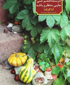 کتاب دوست داشتم کسی جایی منتظرم باشد | انتشارات حوض نقره