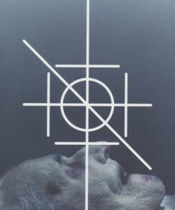 کتاب هرم | انتشارات آوند دانش