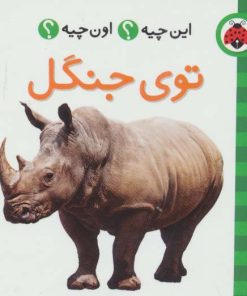 کتاب توی جنگل (2زبانه) | انتشارات شهر قلم