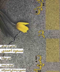 کتاب دویدن در تنهایی | انتشارات افراز