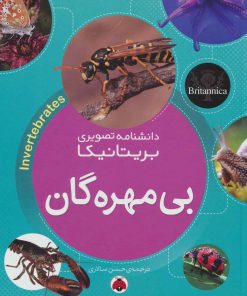 کتاب بی مهره گان | انتشارات شهر قلم