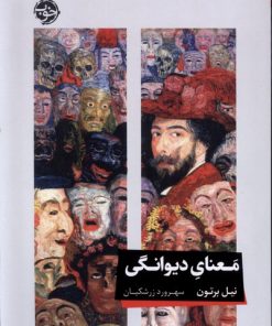 کتاب معنای دیوانگی | انتشارات خوب