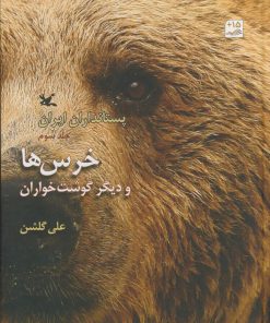کتاب خرس‌ها و دیگر گوشت‌خواران | انتشارات کانون پرورش فکری کودکان و نوجوانان