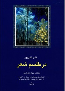 کتاب در طلسم شعر | انتشارات سخن