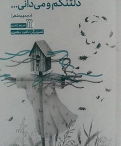 کتاب دلتنگم و می دانی... | انتشارات سروش