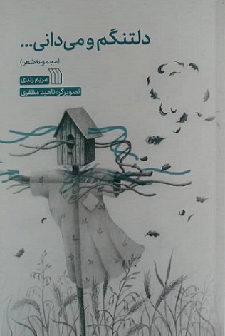 کتاب دلتنگم و می دانی... | انتشارات سروش