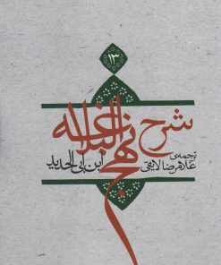 کتاب شرح نهج البلاغه 13 (شومیز) | انتشارات نیستان