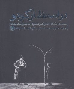 کتاب در انتظار گودو | انتشارات بیدگل