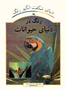 کتاب رنگ در دنیای حیوانات | انتشارات کانون پرورش فکری کودکان و نوجوانان