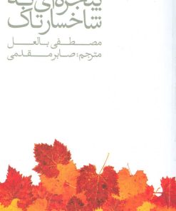 کتاب پنجره ای به شاخسار تاک | انتشارات پیدایش