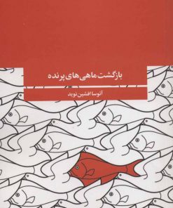 کتاب بازگشت ماهی های پرنده | انتشارات آگه