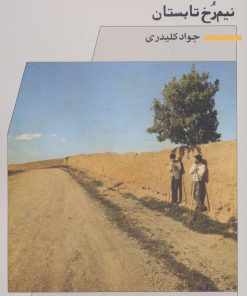 کتاب نیم رخ تابستان | انتشارات نگاه