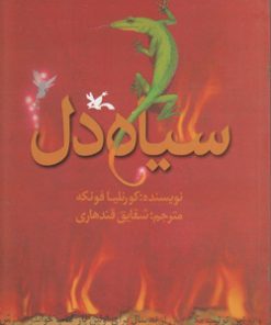 کتاب مجموعه سیاه دل | انتشارات کانون پرورش فکری کودکان و نوجوانان