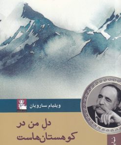 کتاب دل من در کوهستان‌ هاست | انتشارات مهراندیش