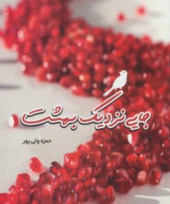 کتاب جایی نزدیک بهشت | انتشارات سروش