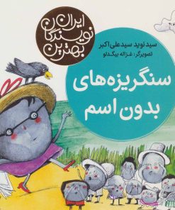 کتاب سنگریزه های بدون اسم | انتشارات شهر قلم